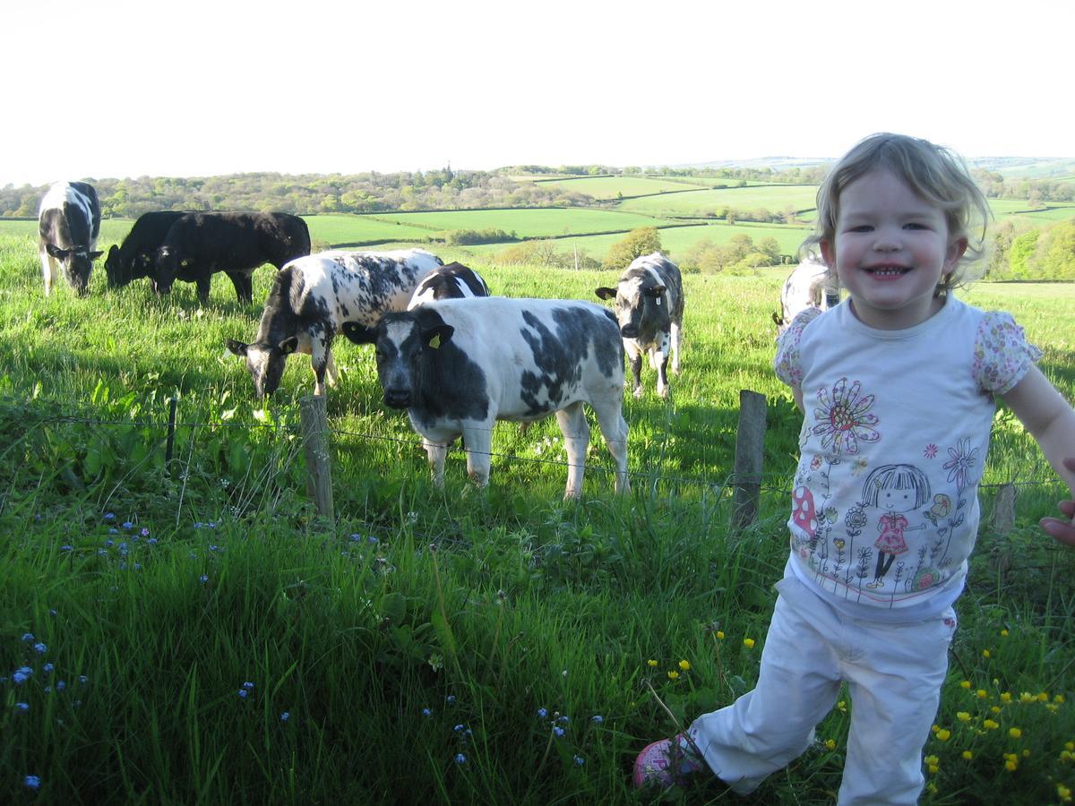 Three Gates Farm Holiday Cottages Huntsham Ngoại thất bức ảnh